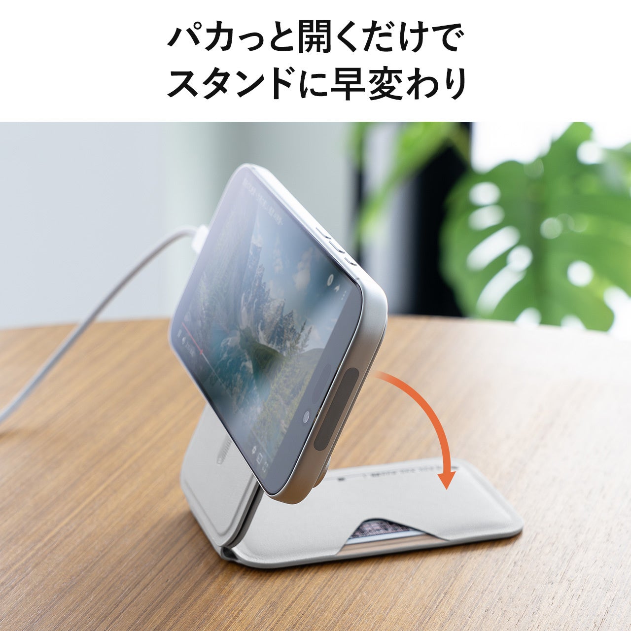プレスリリース掲載画像
